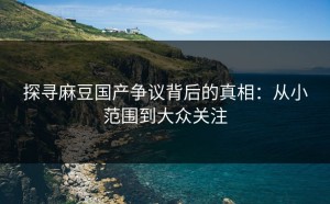 探寻麻豆国产争议背后的真相：从小范围到大众关注