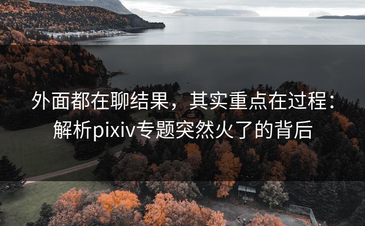 外面都在聊结果,其实重点在过程:解析pixiv专题突然火了的背后 外面都在聊结果,其实重点在过程:解析pixiv专题突然火了的背后