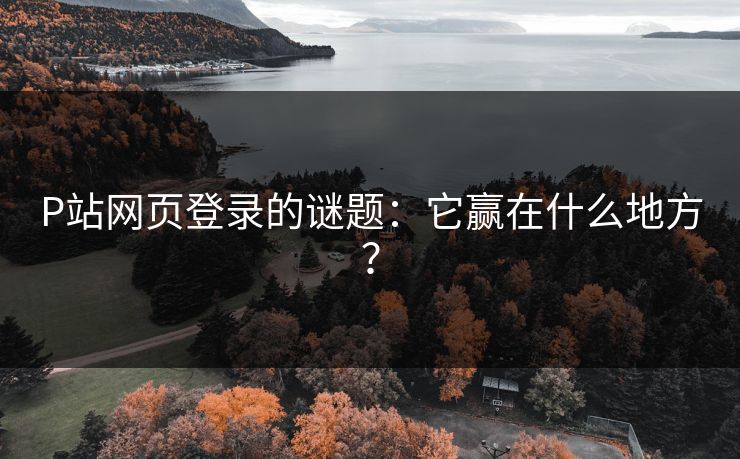 P站网页登录的谜题：它赢在什么地方？