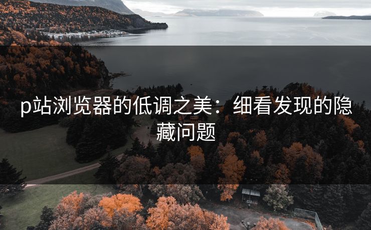 p站浏览器的低调之美:细看发现的隐藏问题 p站浏览器的低调之美:细看发现的隐藏问题