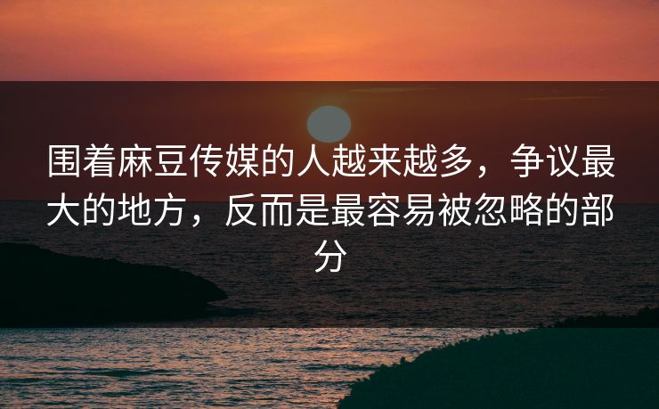 围着麻豆传媒的人越来越多,争议最大的地方,反而是最容易被忽略的部分 围着麻豆传媒的人越来越多,争议最大的地方,反而是最容易被忽略的部分