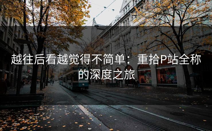 越往后看越觉得不简单:重拾P站全称的深度之旅 越往后看越觉得不简单:重拾P站全称的深度之旅