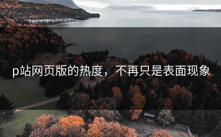 p站网页版的热度,不再只是表面现象 p站网页版的热度,不再只是表面现象
